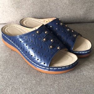 Blue clogs